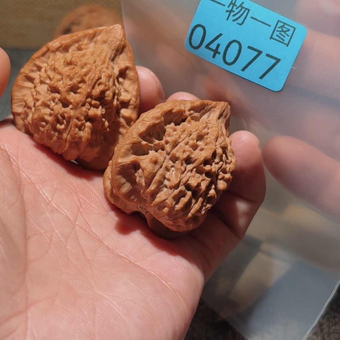 文玩核桃把件朱雀