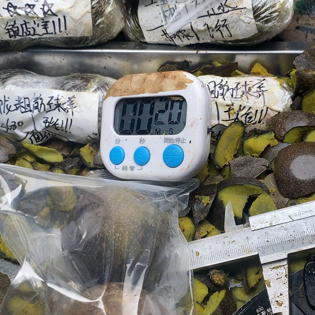 小***诚服婚姐姐你奶奶们