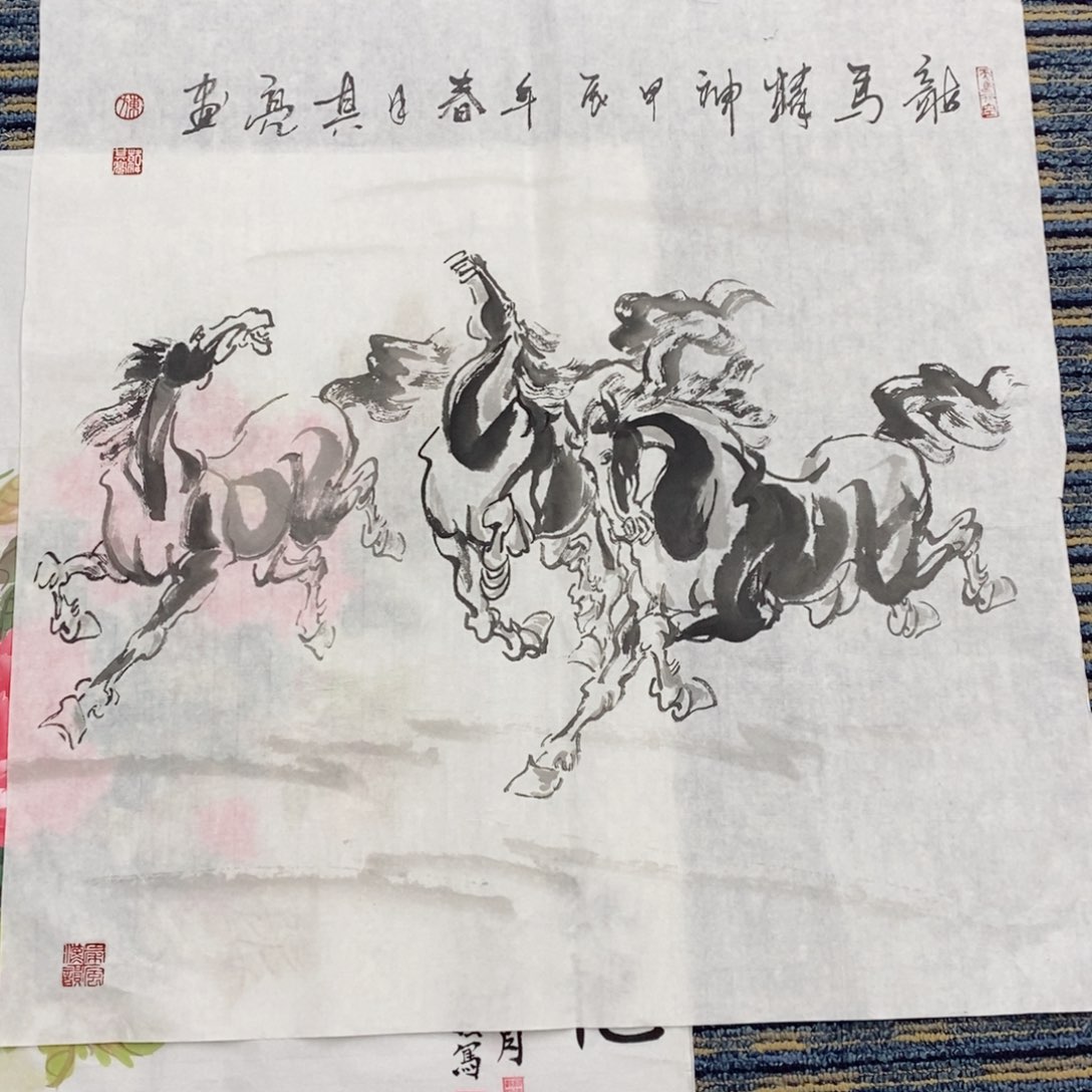 国画国画花鸟68*68斗方   琪