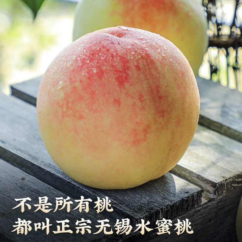 【正宗无锡水蜜桃7-6两】现摘新鲜超甜当季整箱桃子礼盒发货300-350g当季新鲜水果桃子顺丰冷链江苏省