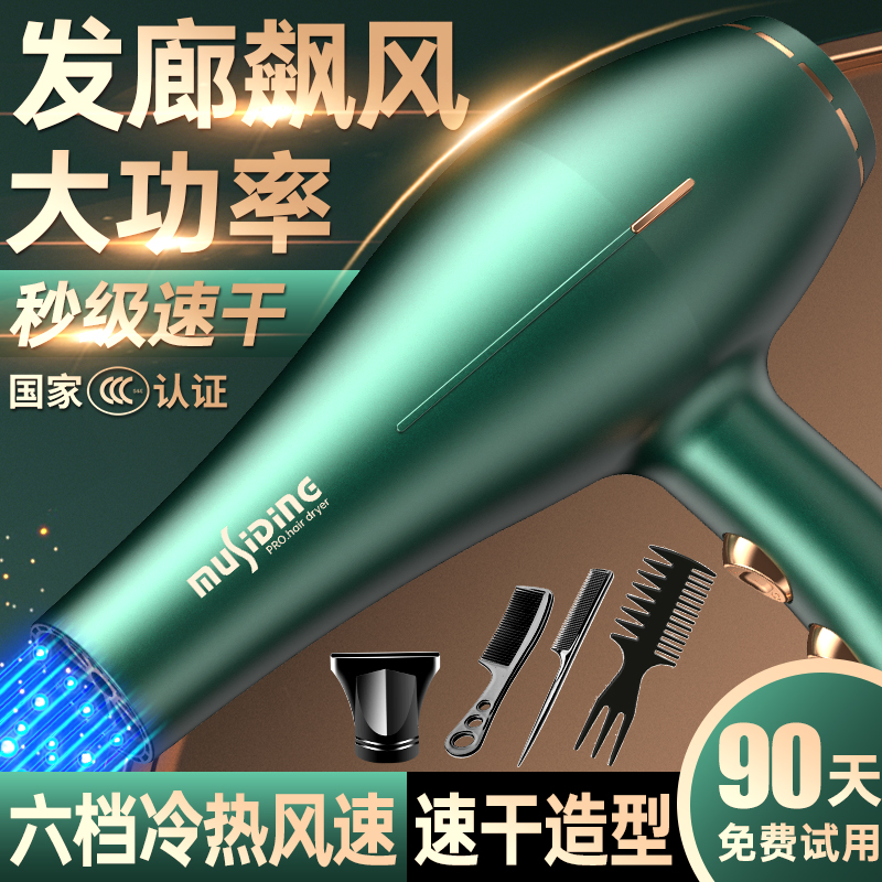电吹风机家用发廊大功率理发店3000W大风力男士专用冷热风吹风筒