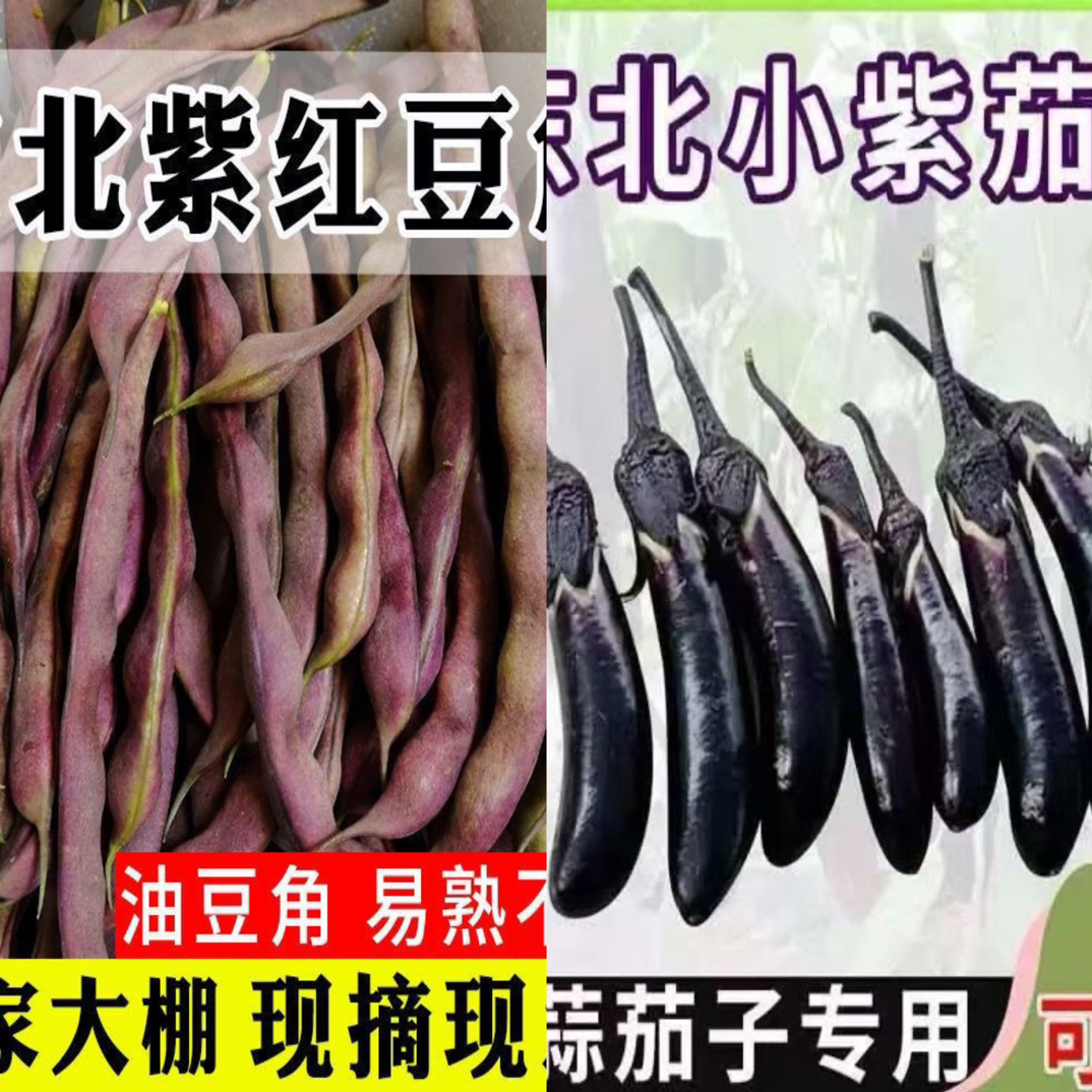 一半茄子一半豆角一共5斤