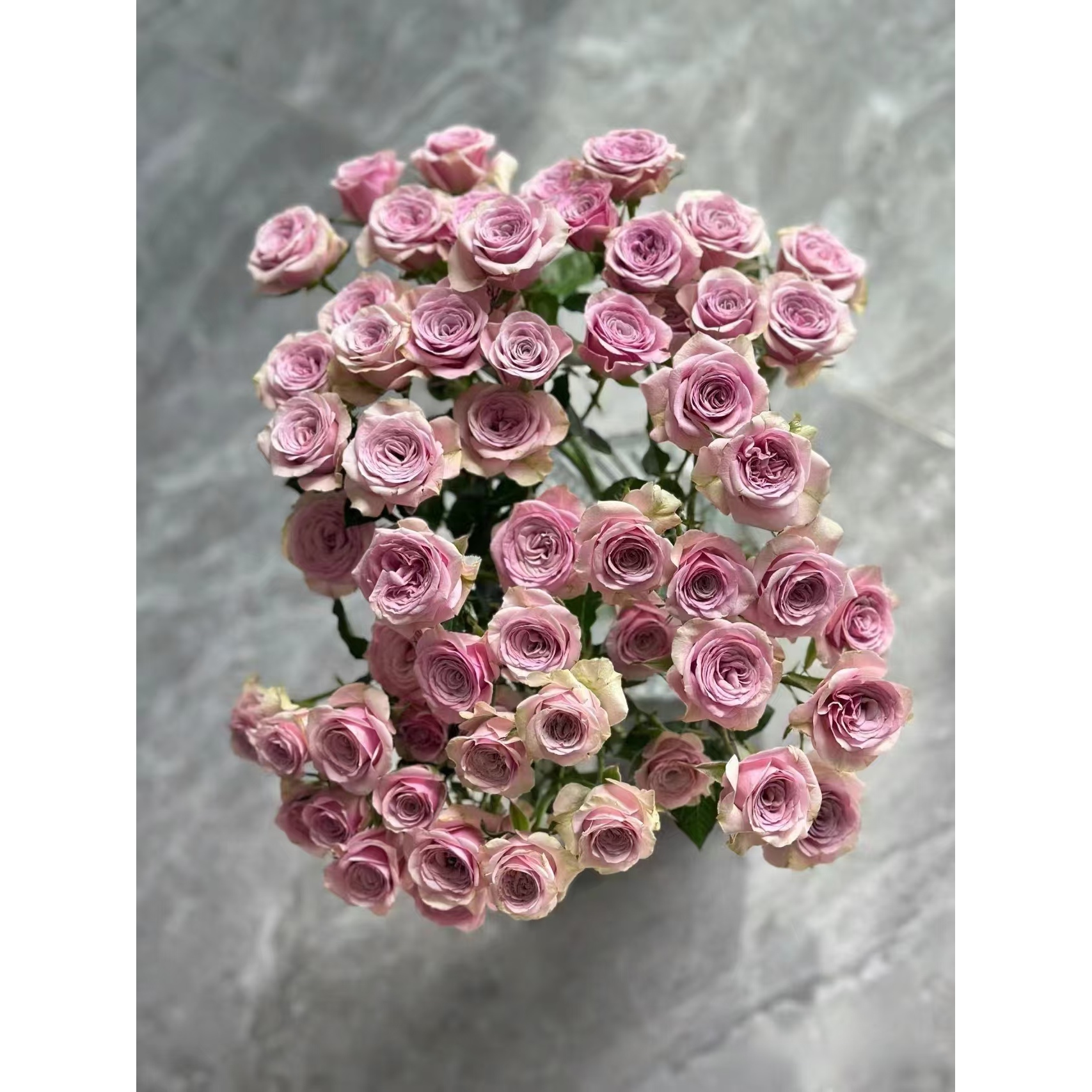 【福利套餐】A19  云南基地鲜花   家庭用花  水养