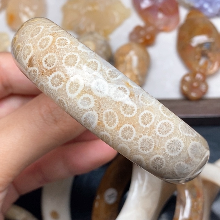硅化珊瑚（珊瑚玉）手镯未镶嵌59