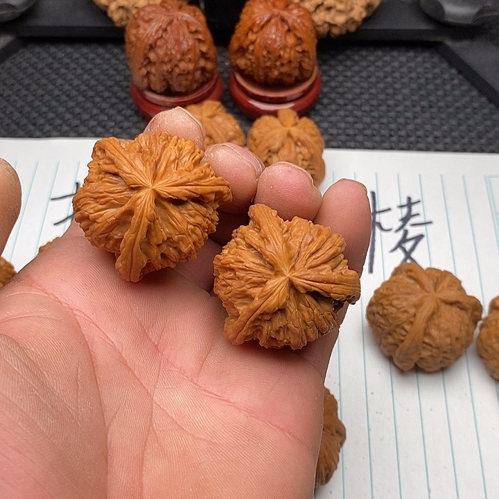 a***歌手串/手链核桃白狮子15