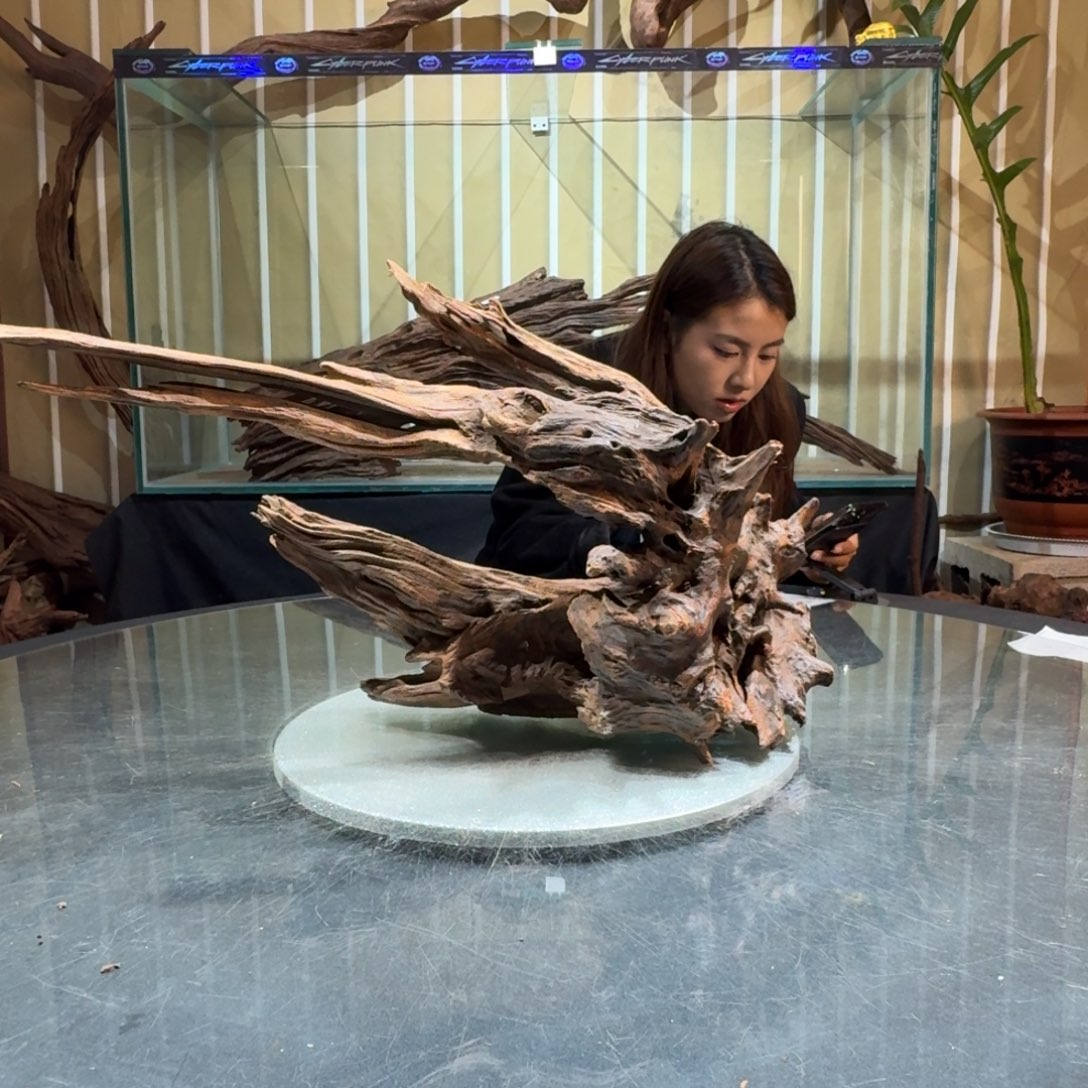 潇***雨柚木一物一拍鱼缸造景