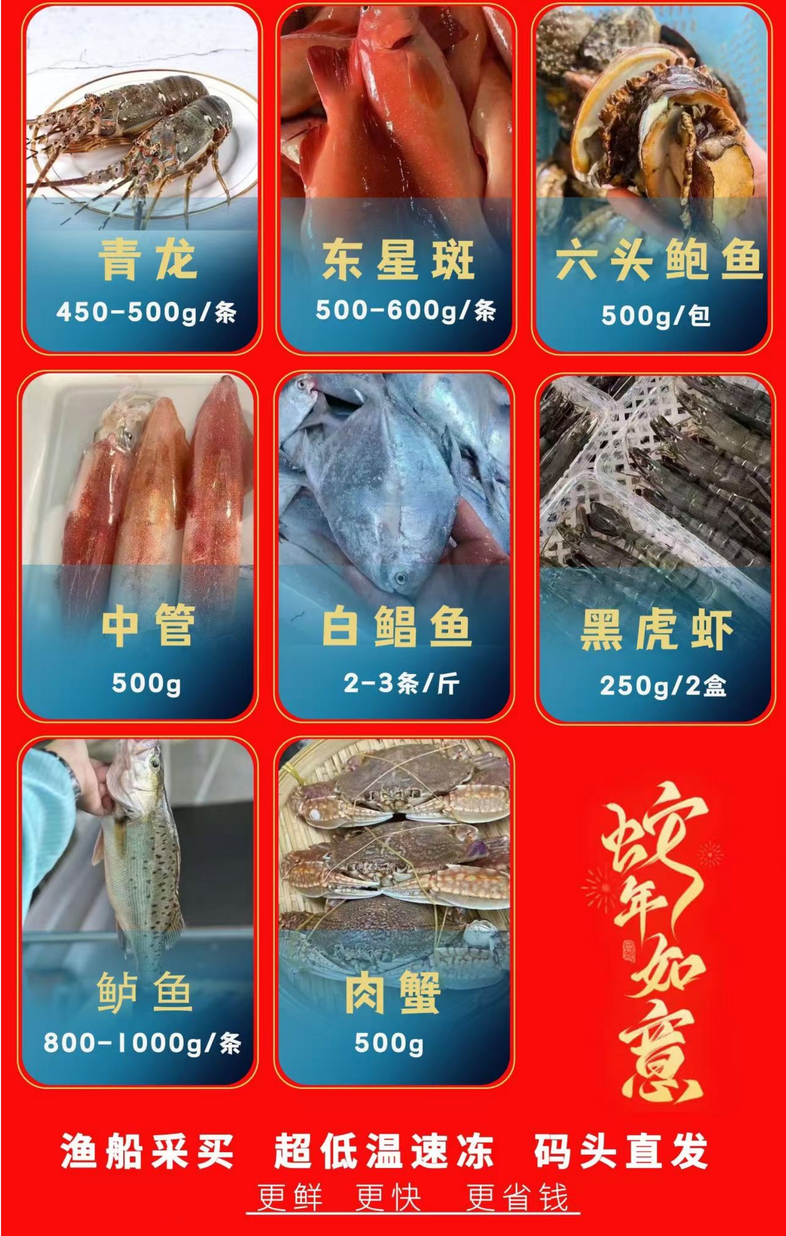 【春节佳礼】东山岛海鲜礼盒套餐 小青龙套餐 顺丰冷链送货上门