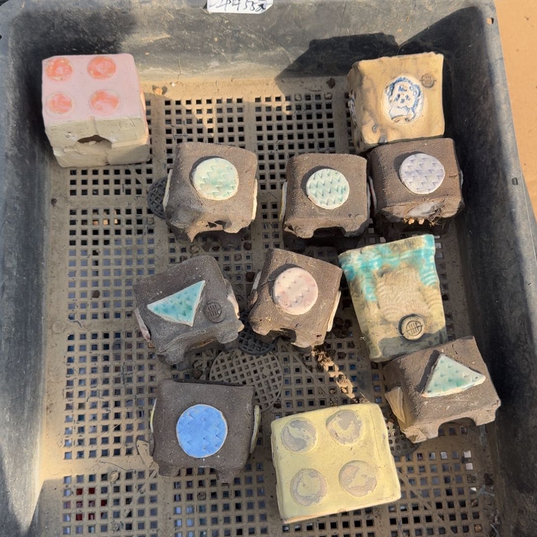 江阴11个盆55元啦啦啦啦啦