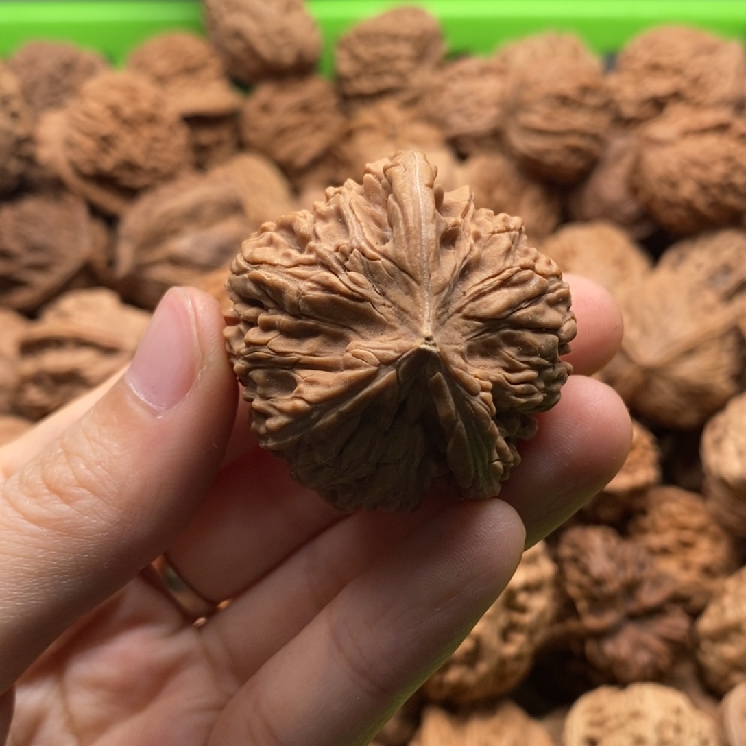 康***文玩核桃把件定制商品不退不换