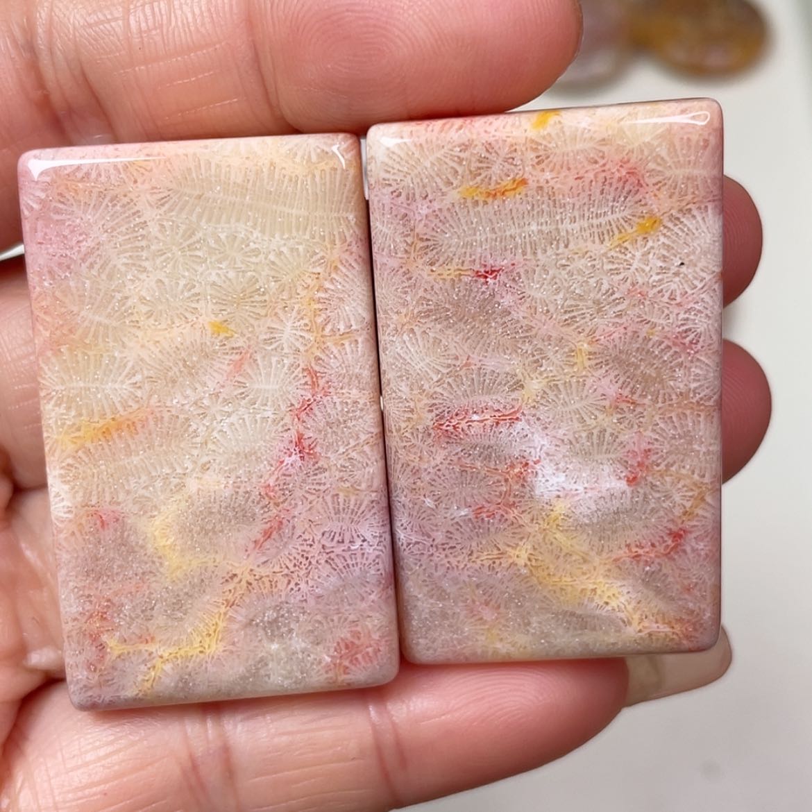 【闪购商品】未镶嵌吊坠(赠链)硅化玉