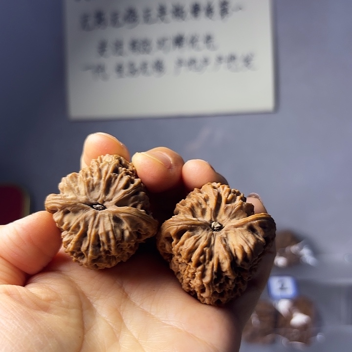 泧****南疆石狮子头一对