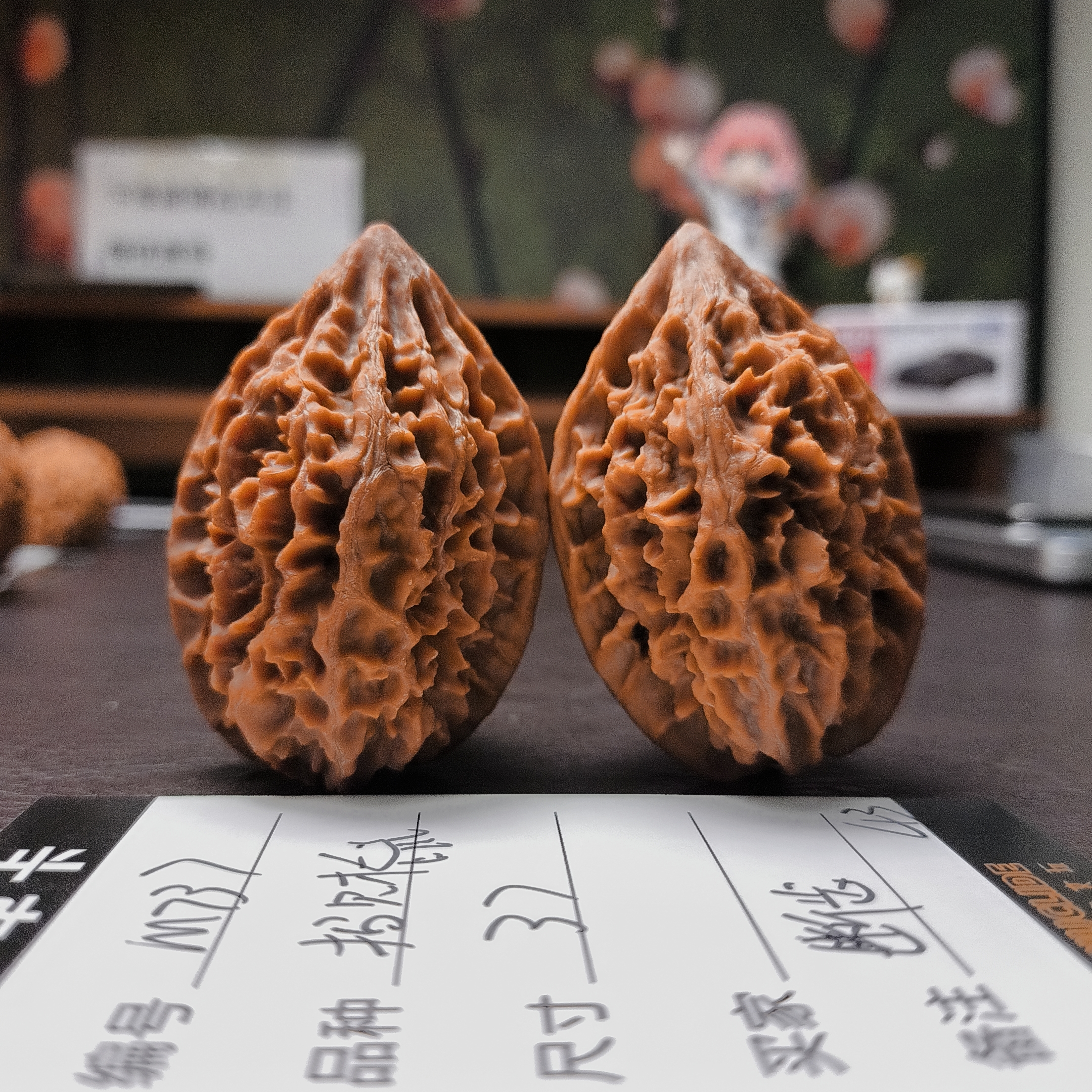 【文玩核桃】招财鼠37轻微断齿（M737）