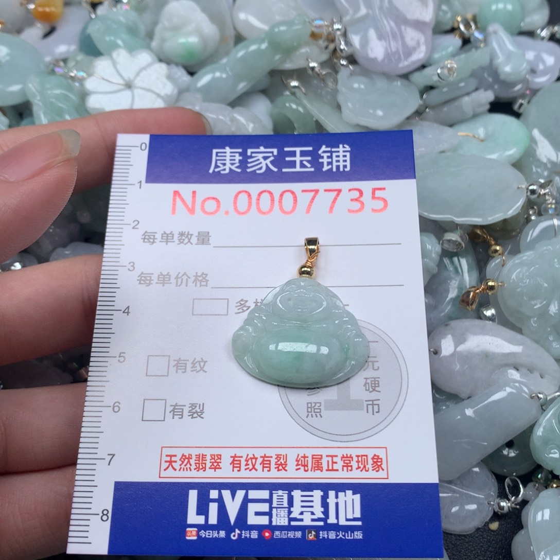 颈饰未镶嵌翡翠s