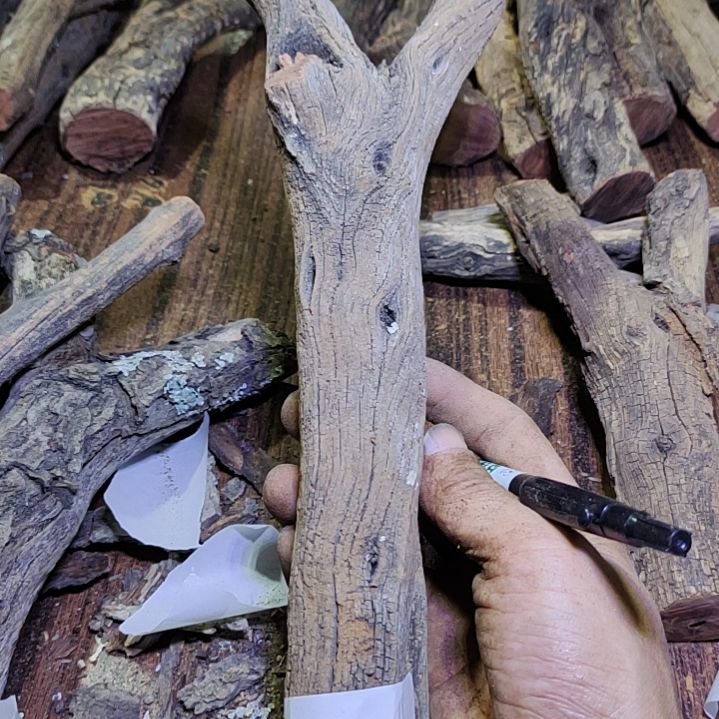 弓***行火琉璃原杈不保沉水慎拍！