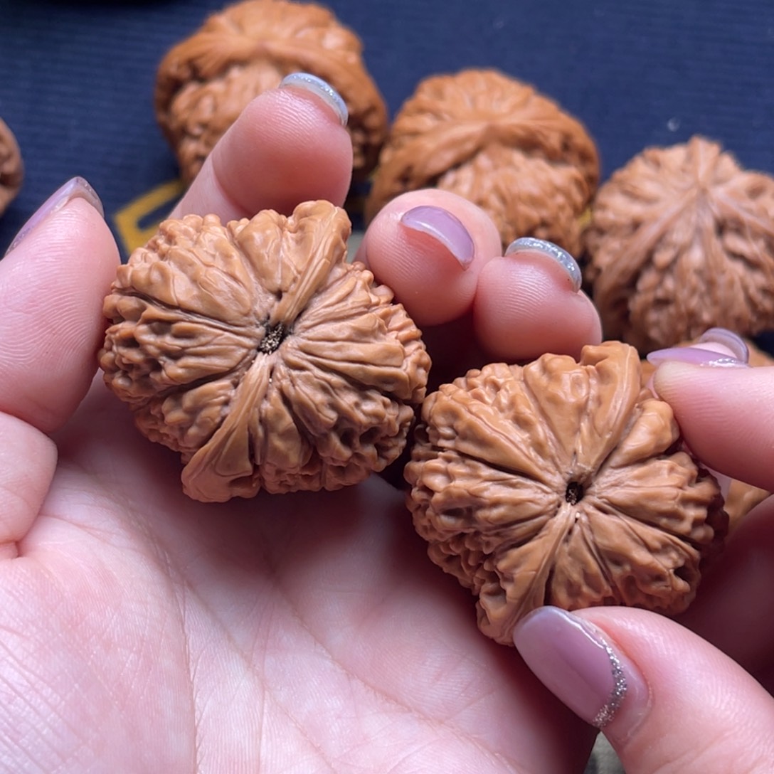 核桃高端小众莲花38