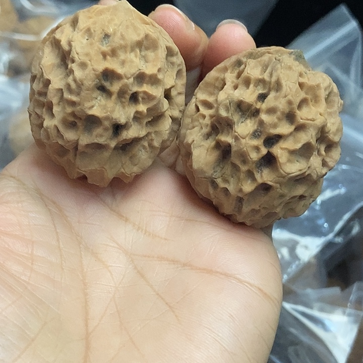木质类云南铁核桃+44