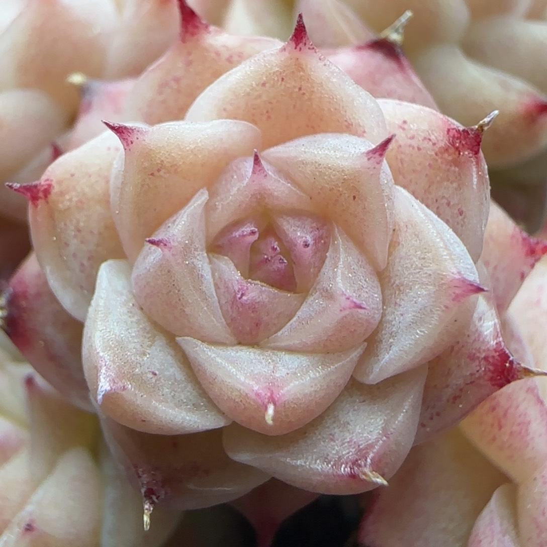 0216-143（M1-435-1）