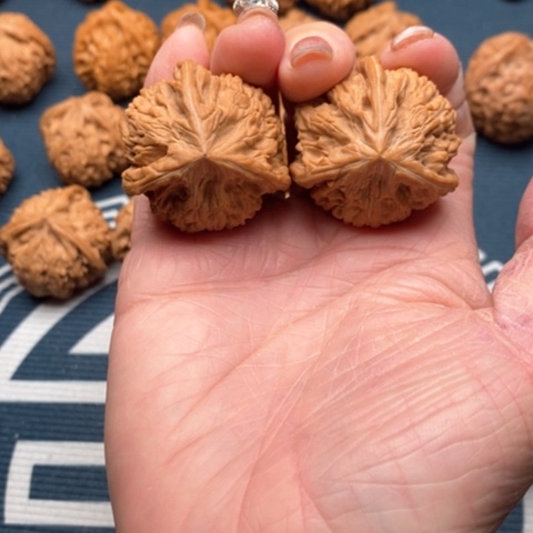 橄榄核手串/手链文山三棱35 