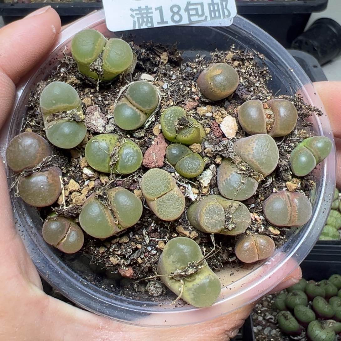 【闪购商品】881……