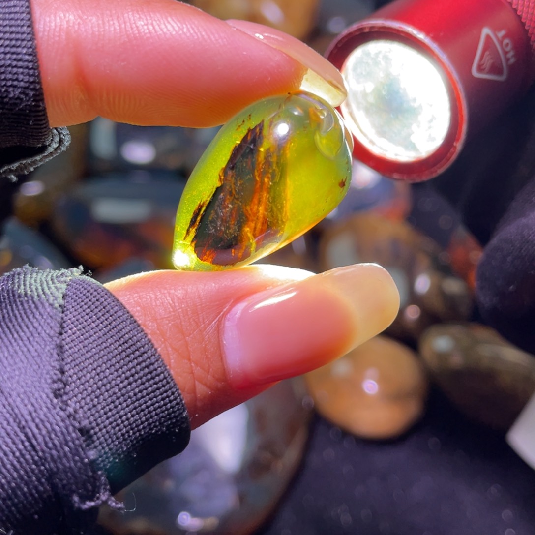 未镶嵌琥珀裸石？