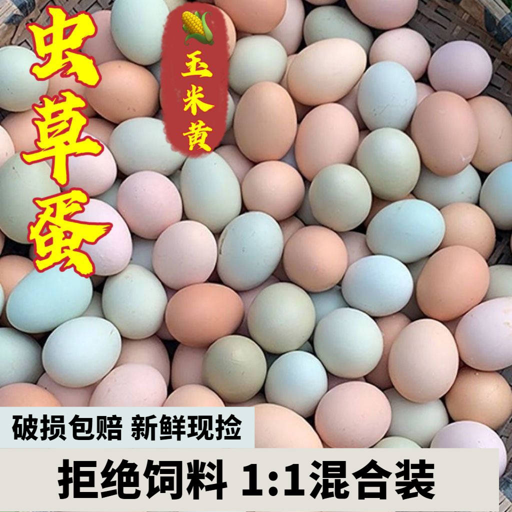 土鸡蛋正宗散养新鲜原生态笨鸡蛋一虫草营养商用笨草蛋天然谷饲
