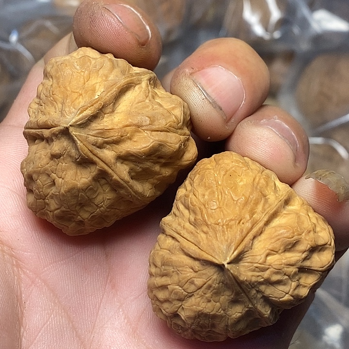 文玩核桃把件云南铁核桃B94