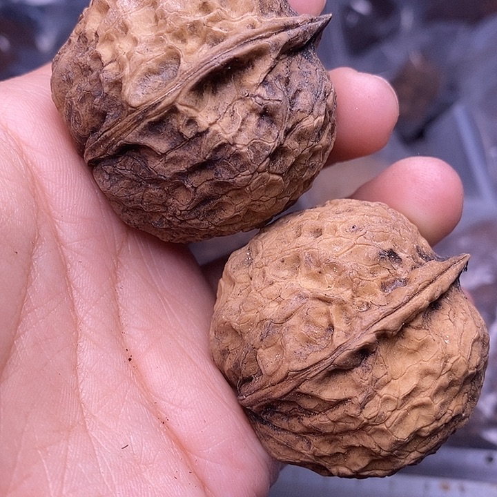 吊坠文玩核桃   154