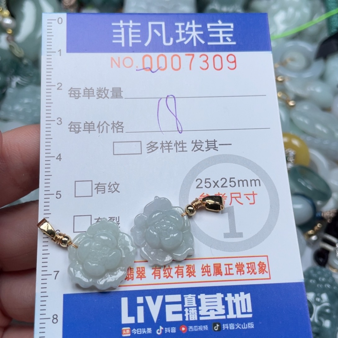 翡翠颈饰未镶嵌00007309