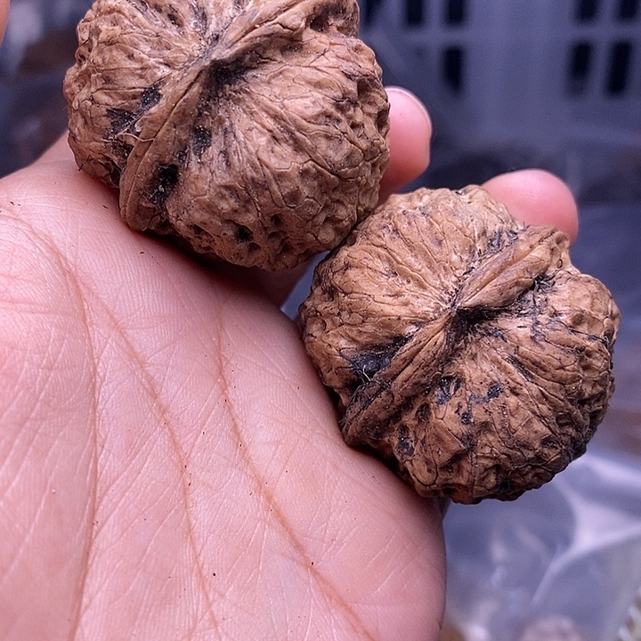 把件文玩核桃  164