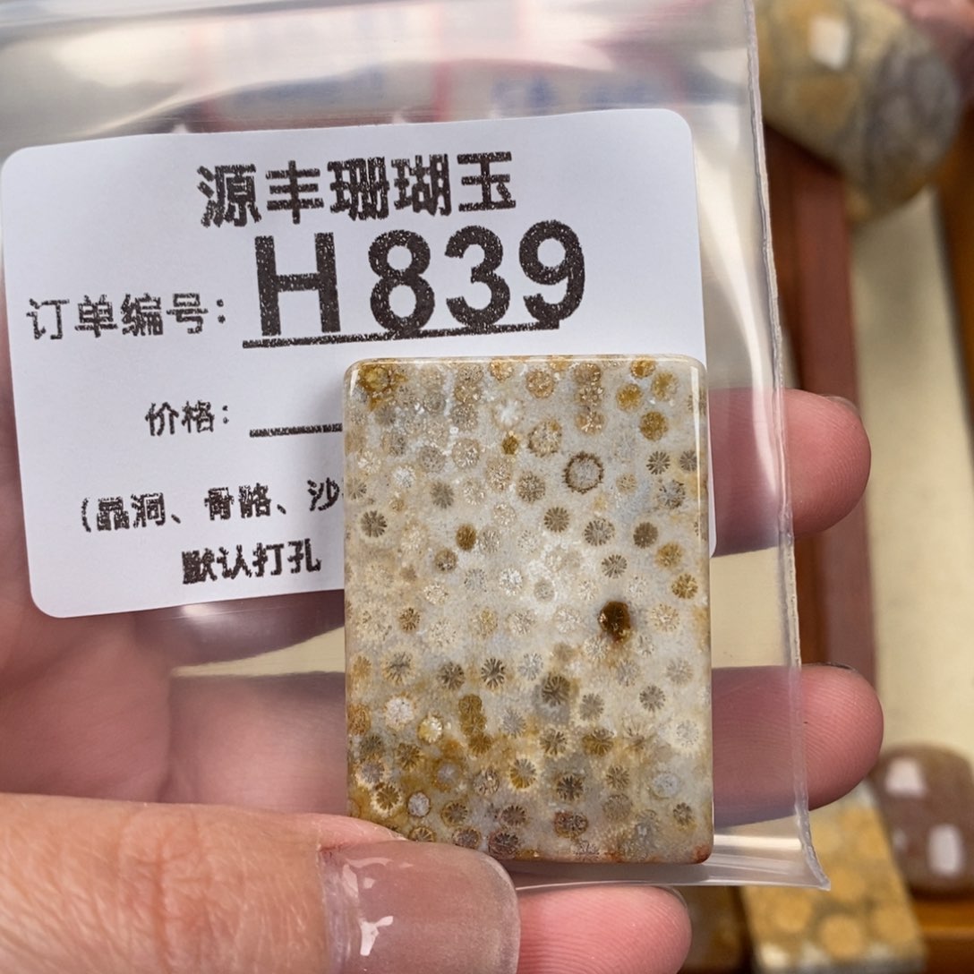 硅化玉颈饰未镶嵌S****?