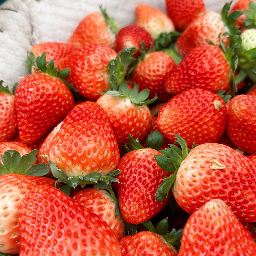 闻集奶油草莓一盒，一斤装
