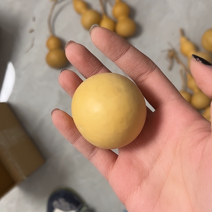 鸡蛋葫芦1个厚皮漂亮