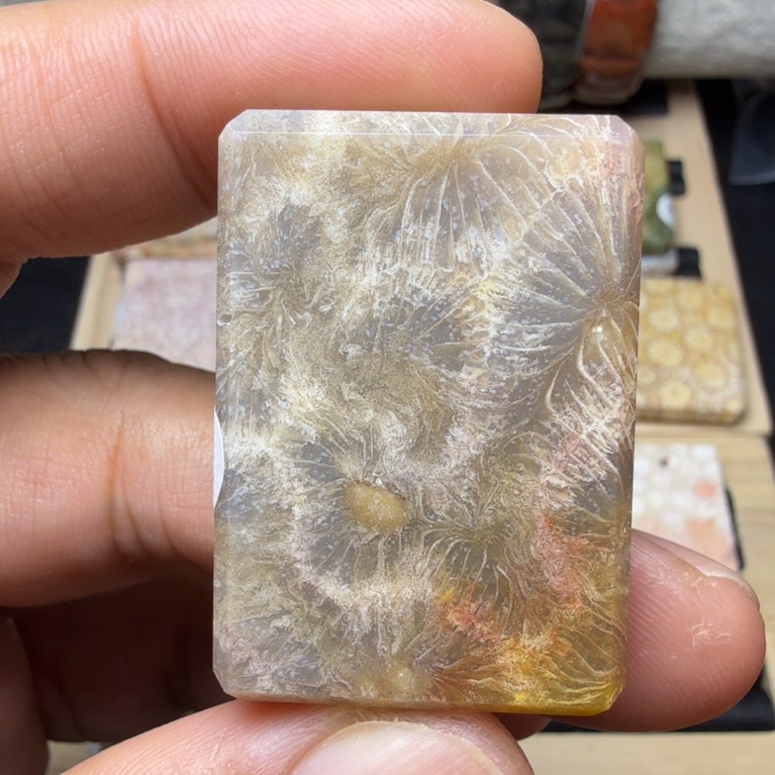 硅化玉未镶嵌纯天然色有机玉石保真色