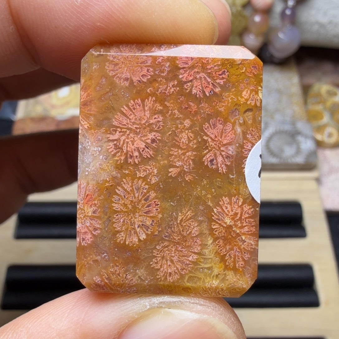 硅化玉未镶嵌纯天然色有机玉石保真色瑕疵特价不退换