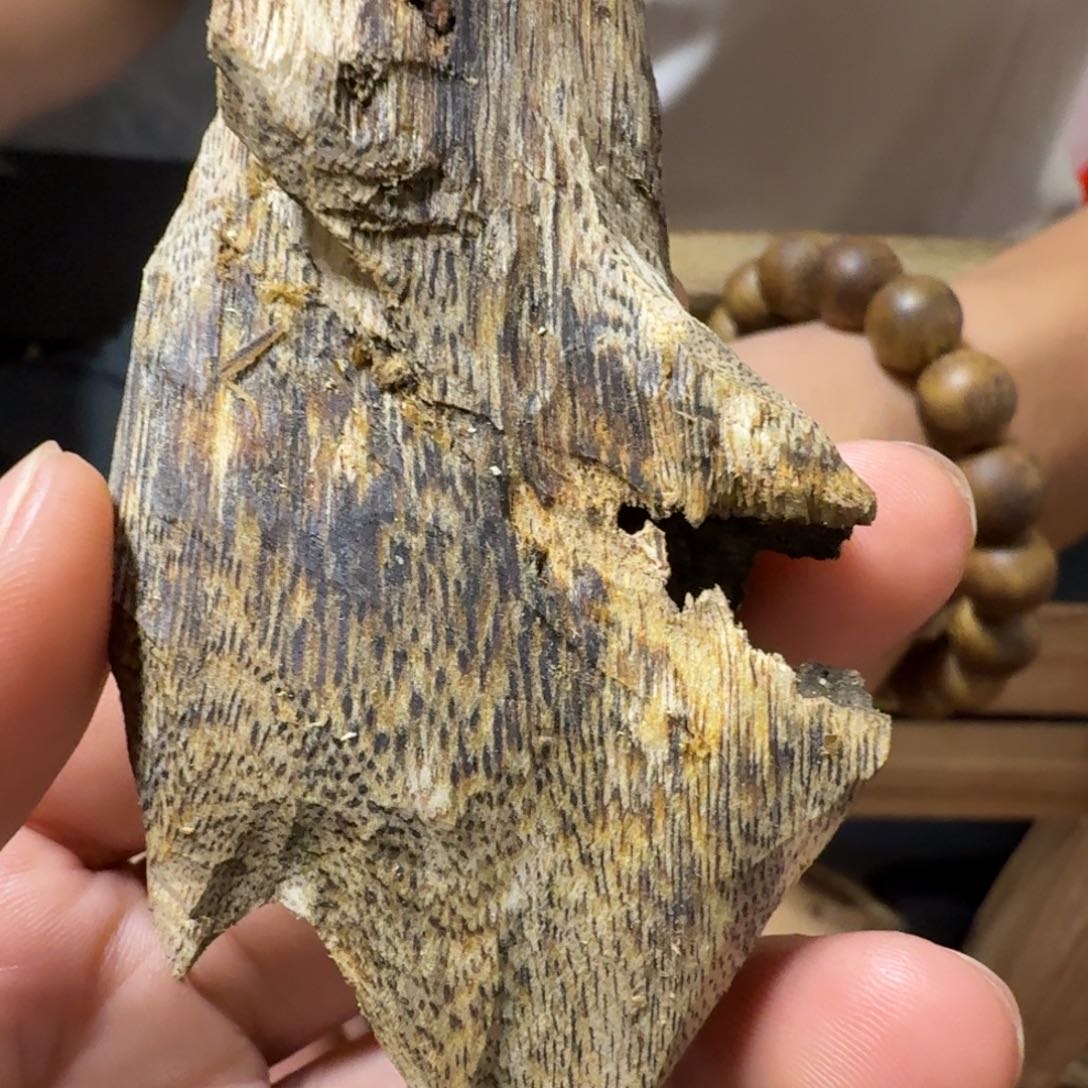 块料块料块料块料