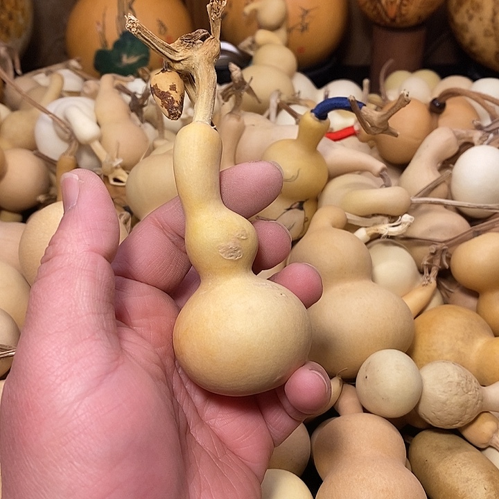 幸***码精品葫芦手把葫芦21