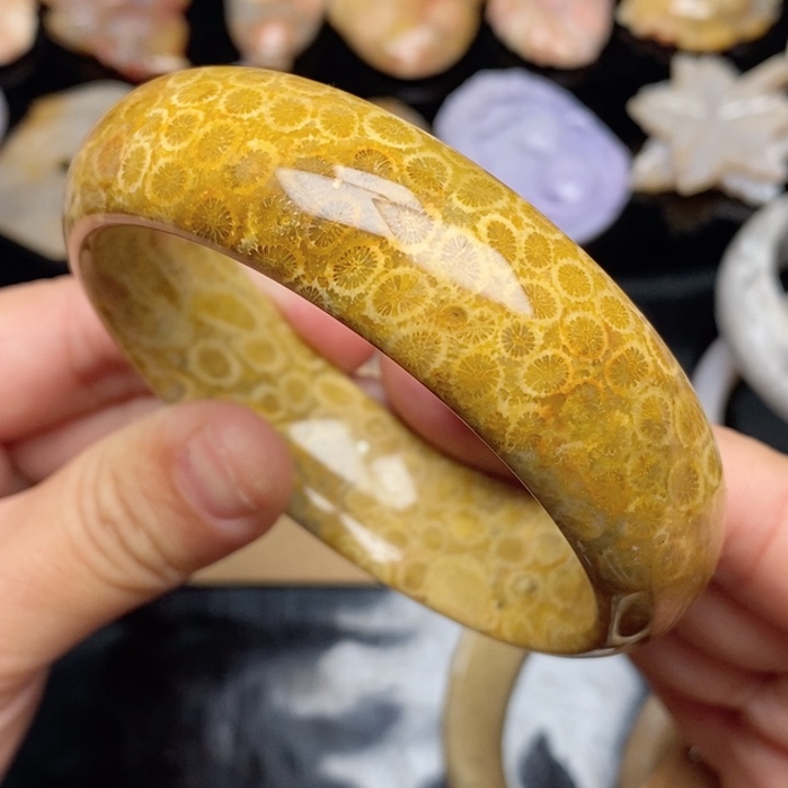 硅化珊瑚（珊瑚玉）颈饰未镶嵌晴****63.3