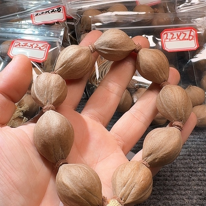 吊坠橄榄核2.3❌3.1