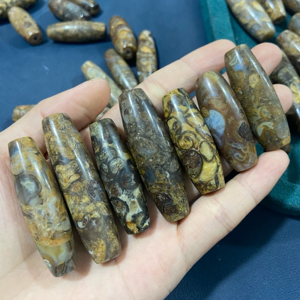 一颗大号法螺天珠天然海螺化石桶珠项链佛珠文玩珠宝配饰