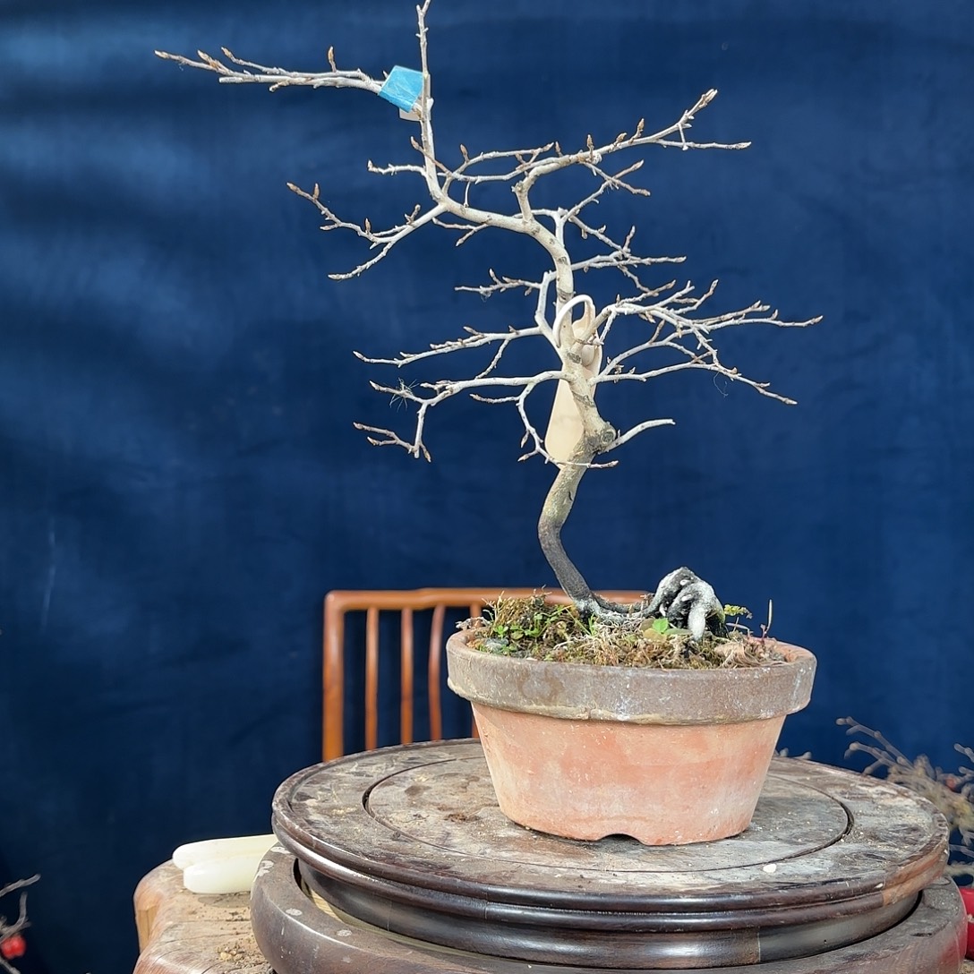 衢***）哈哈哈哈哈哈哈哈哈哈