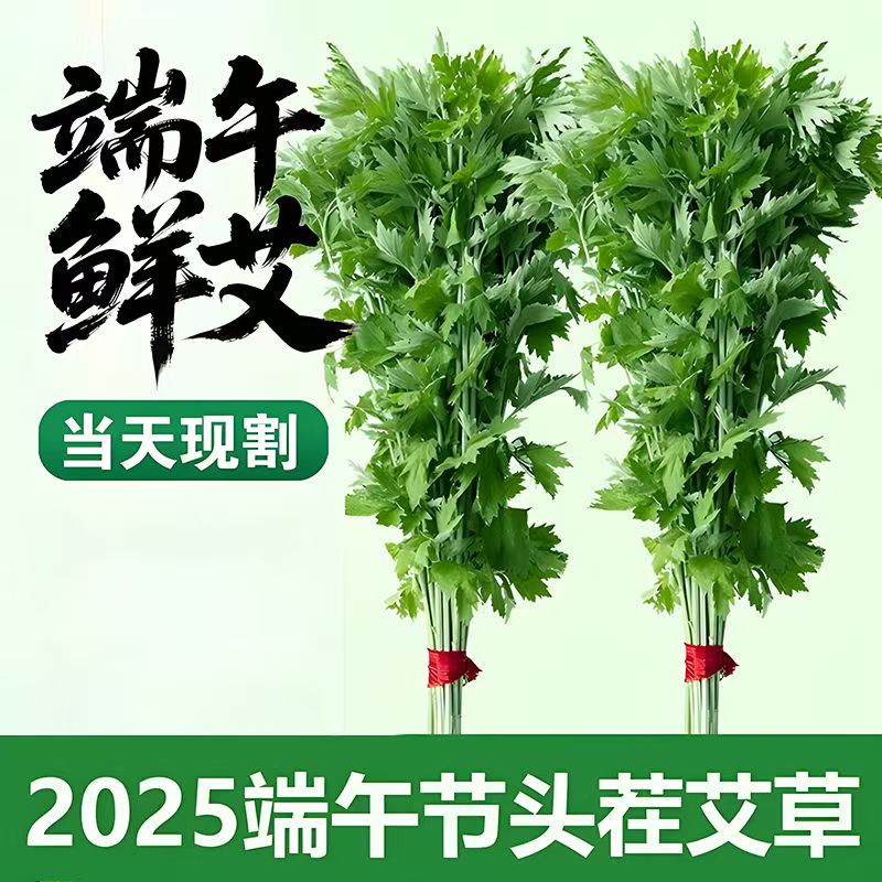 端午节家用挂门头艾草基地直发新鲜采摘植物花卉插花水培