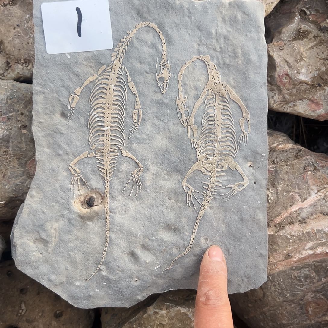 龙***健石材贵州沉积岩石头摆件