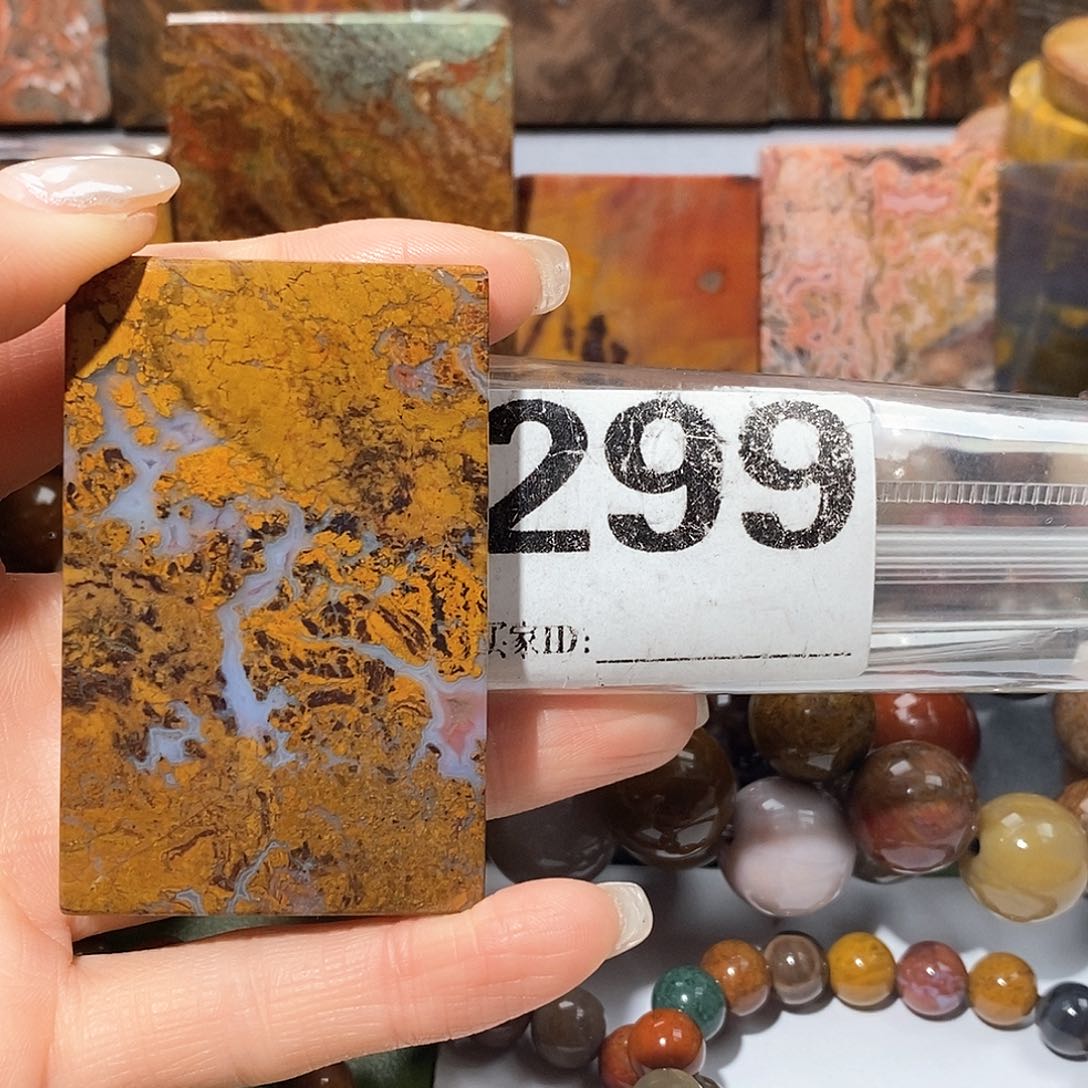 未镶嵌天然北票树化玉吊坠硅化玉