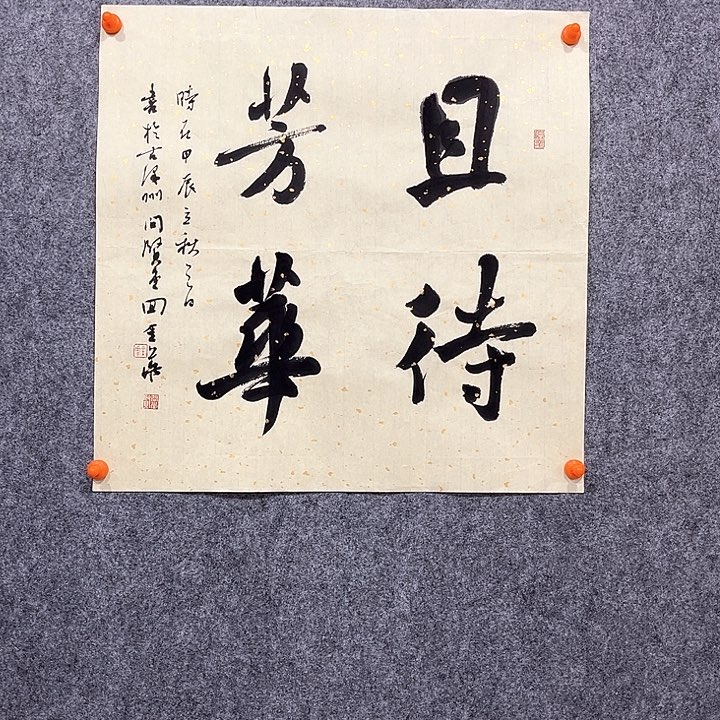 回金华老师作品，且待芳华48×48厘米