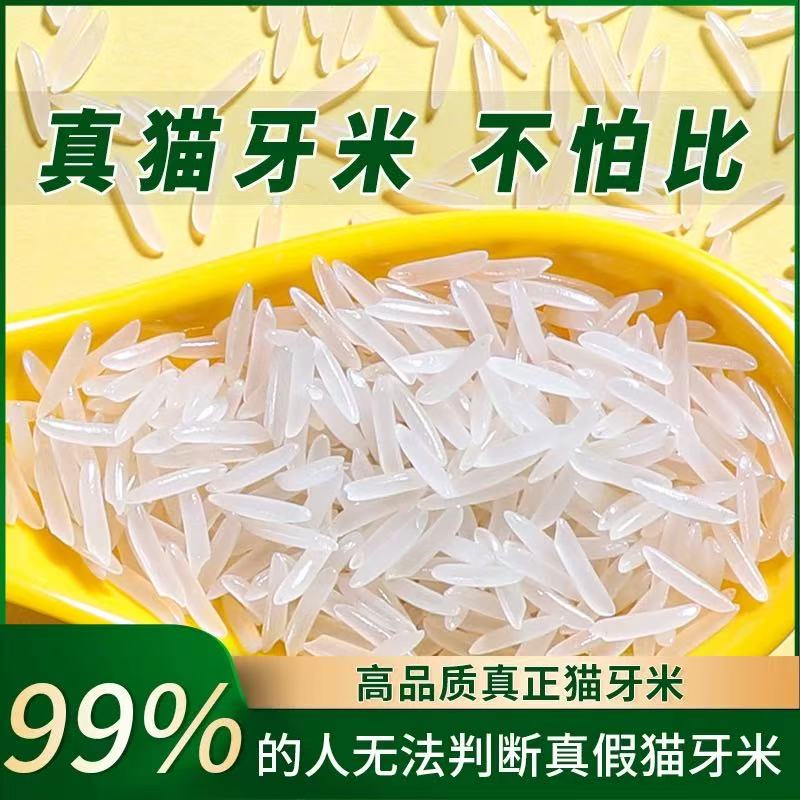 【2025当季新米】长粒米猫牙米营养丰富清香软糯煲仔饭10斤真空装