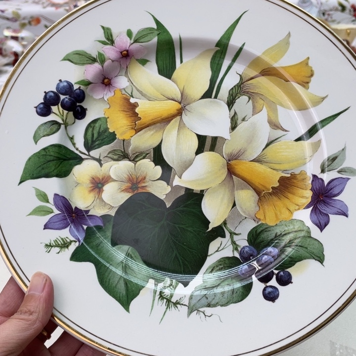 盘维多利亚欧洲中古