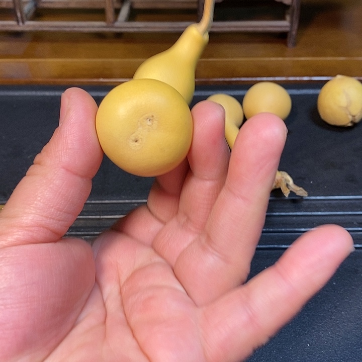 忆**乙精品葫芦手把葫芦76