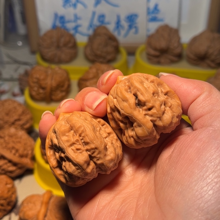 核桃蛙蛙35不足尺