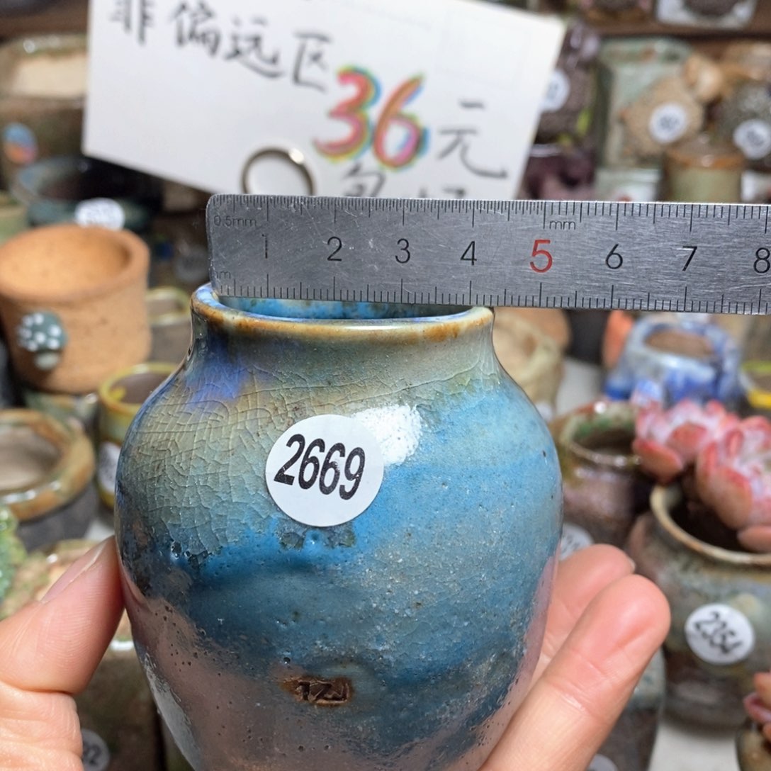 处理的花盆不退不换的，原价28