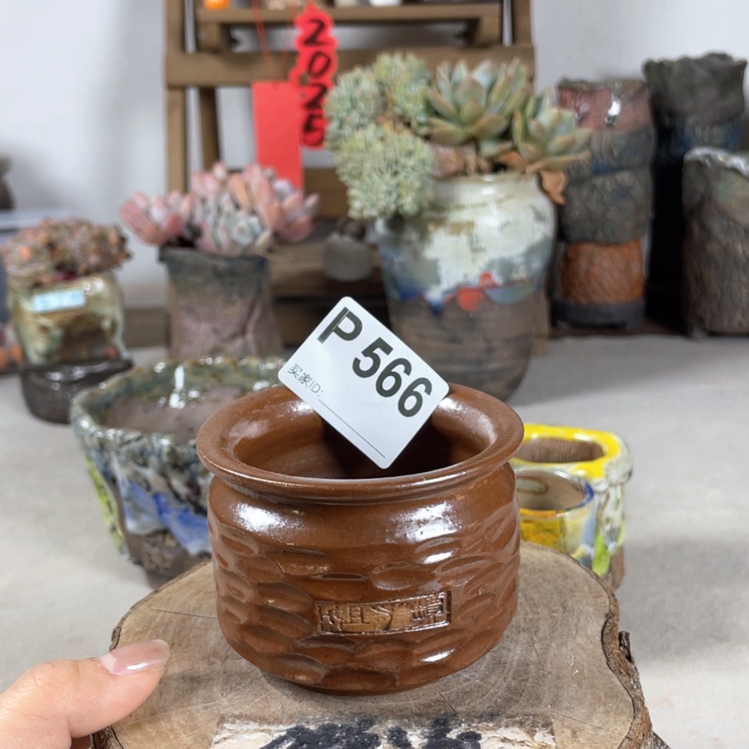 紫砂花盆开播福利 陶瓷花盆